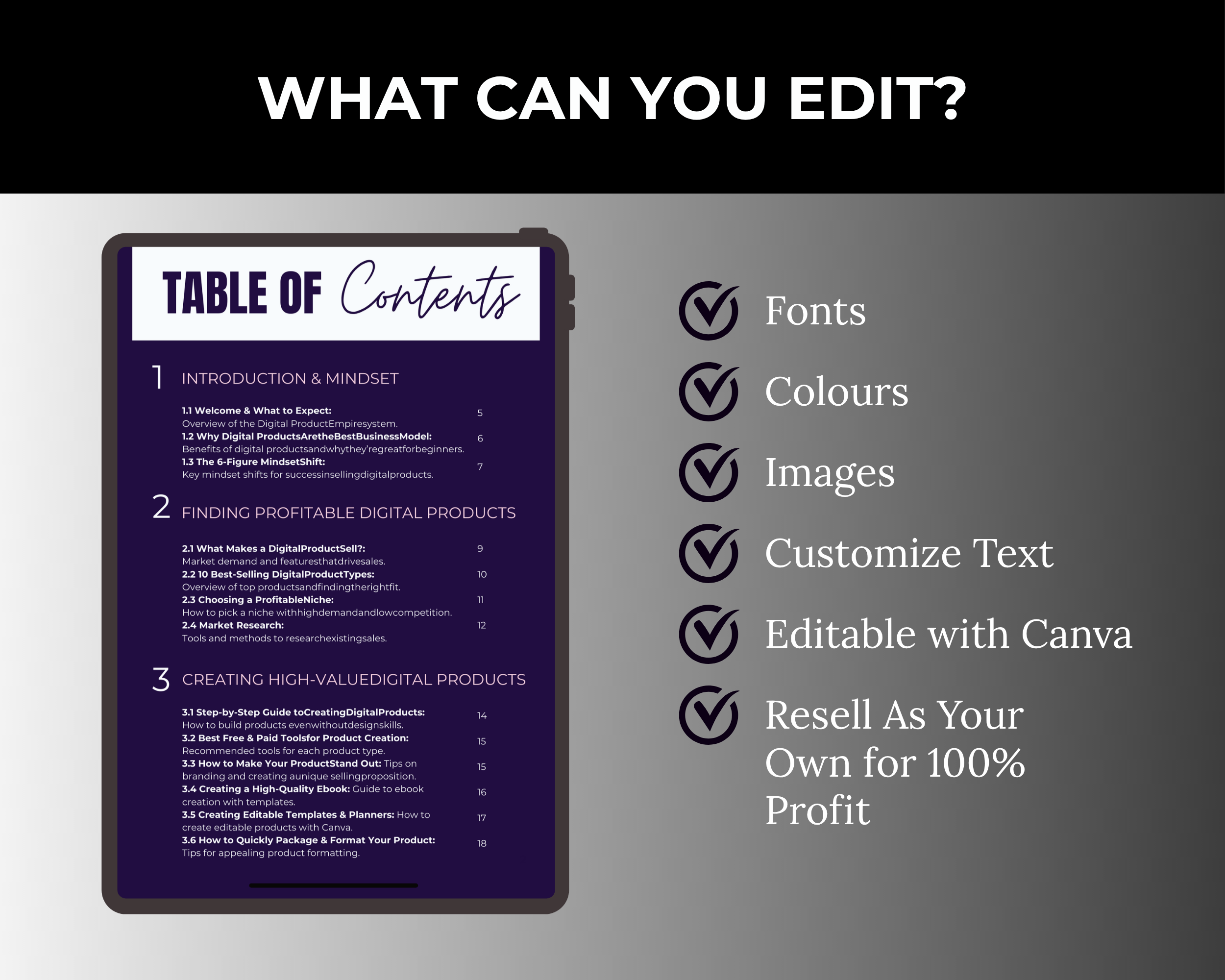 Pixel to Profit 10K a Month with Digital Products Ebook in Canva