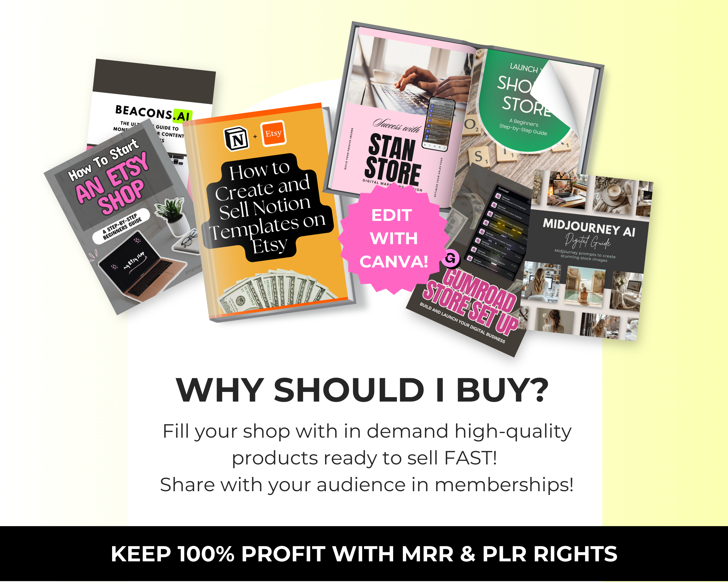 Selling Tools Bundle of 11 Editable Ebooks in Canva with PLR Rights