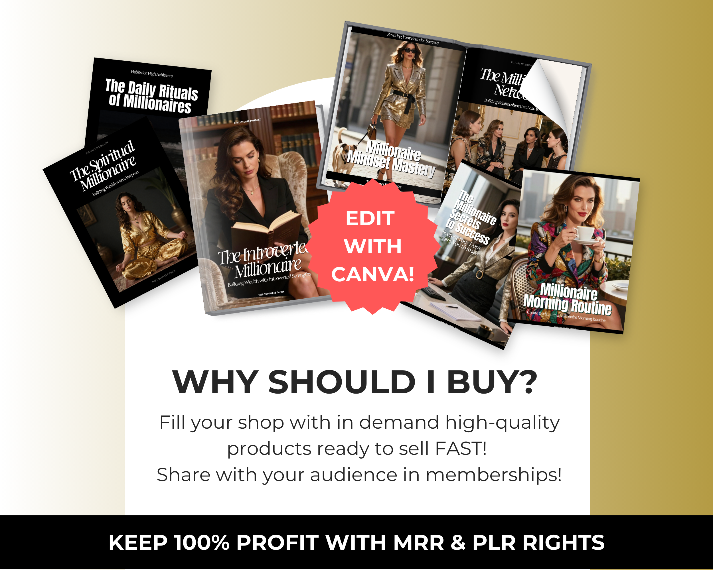 Millionaire Vault Bundle of 7 Editable Ebooks in Canva with PLR Rights