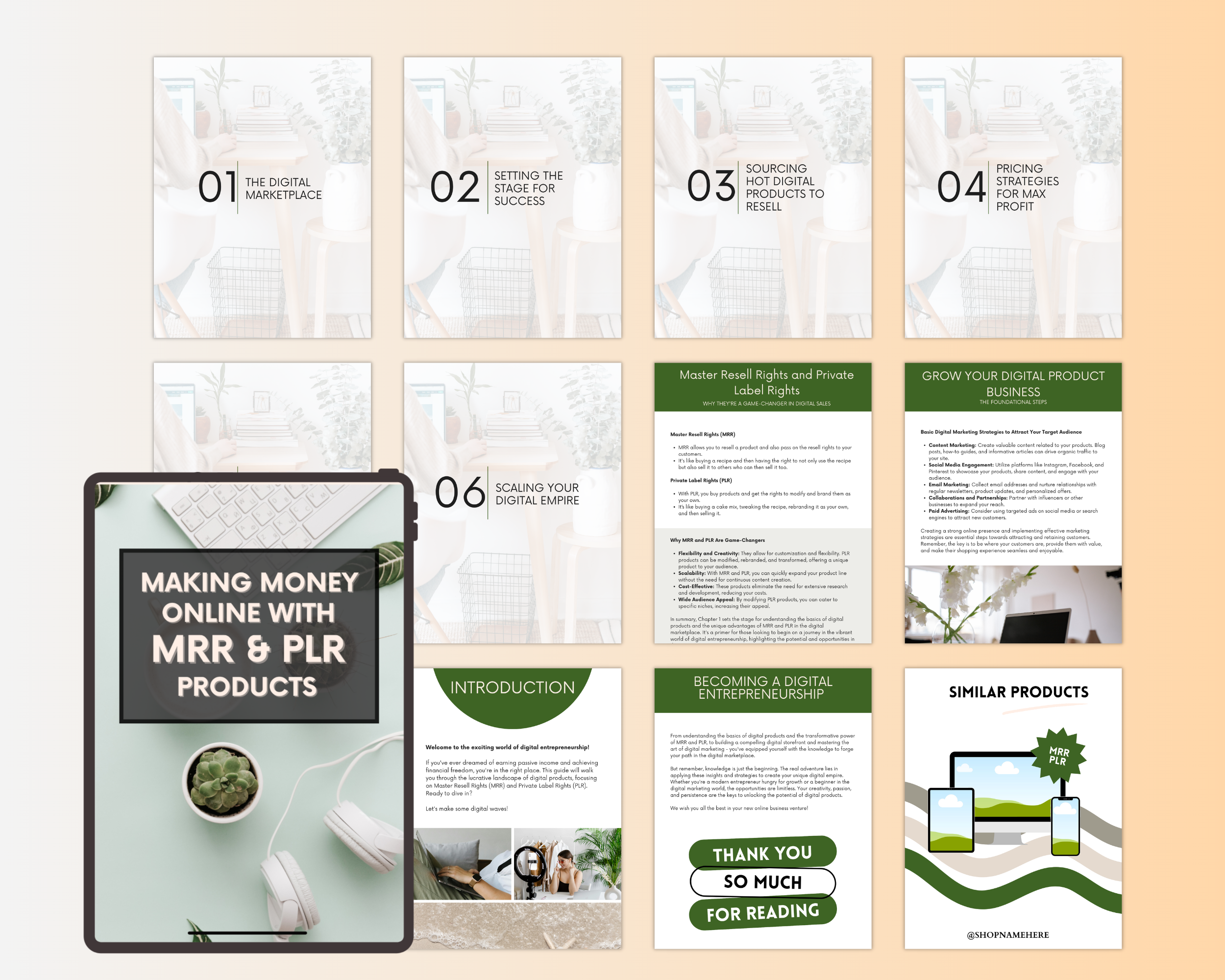 Make Money Online with MRR and PLR Products Ebook in Canva