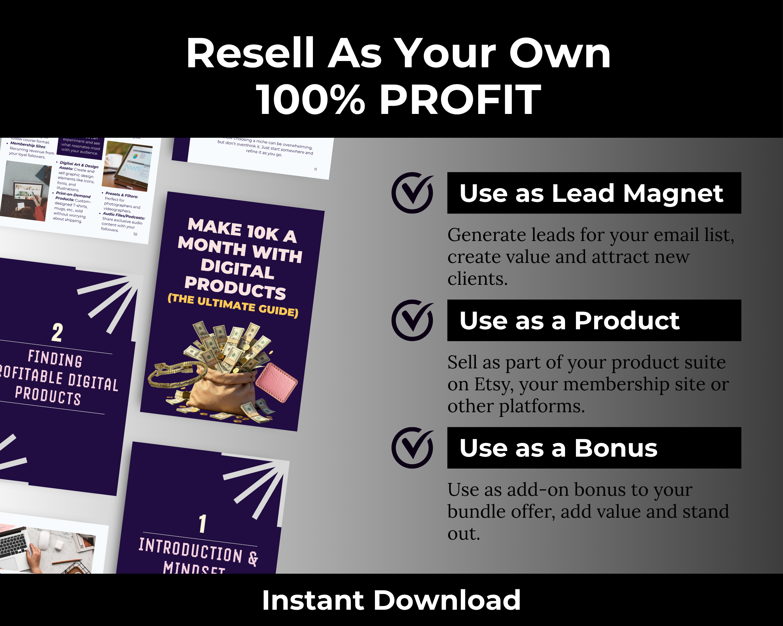 Pixel to Profit 10K a Month with Digital Products Ebook in Canva