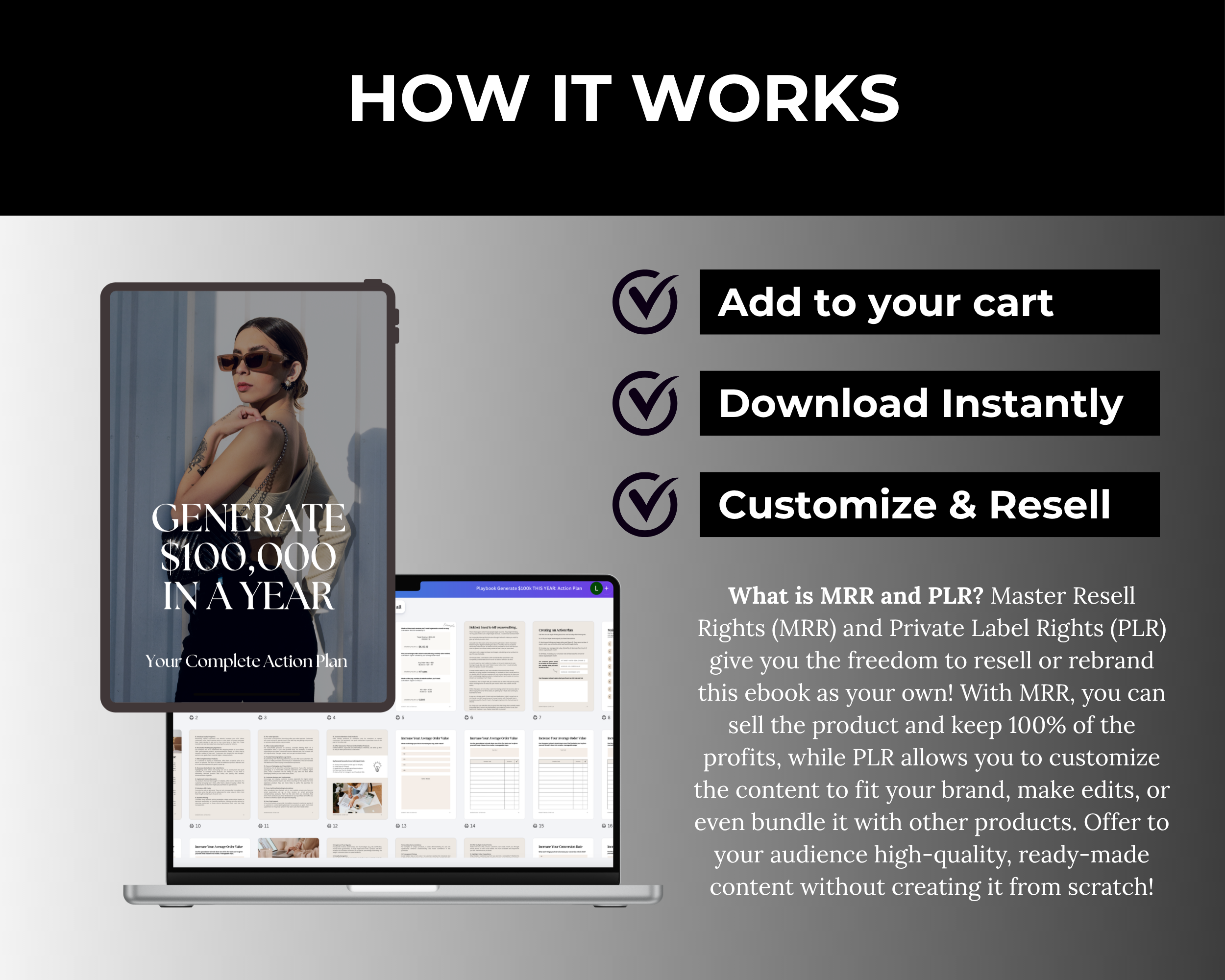 Generate $100k IN A YEAR Playbook with PLR, MRR