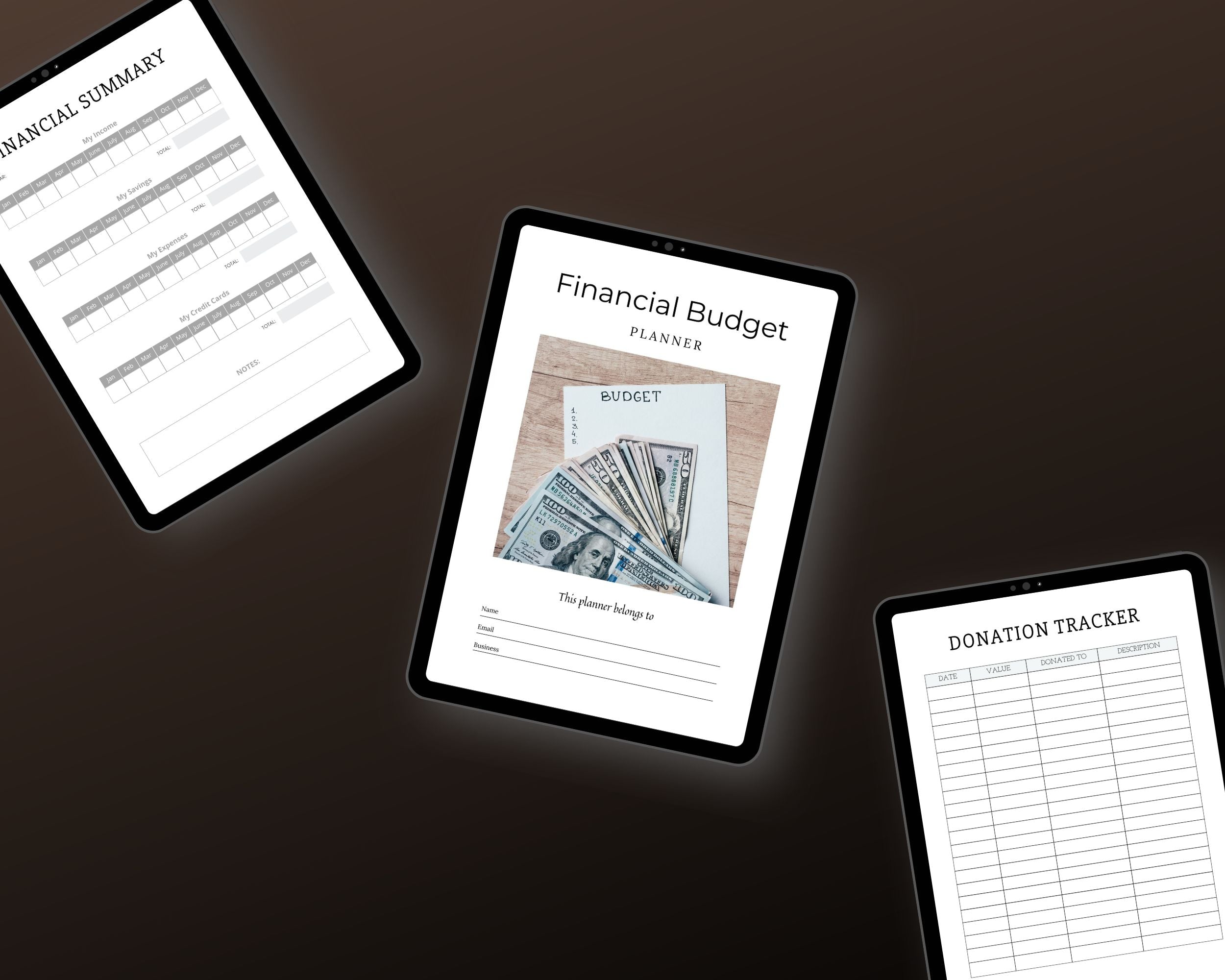 Financial Budget Planner | Done For You Planner Canva Templates PLR Digital Download | Commercial Use