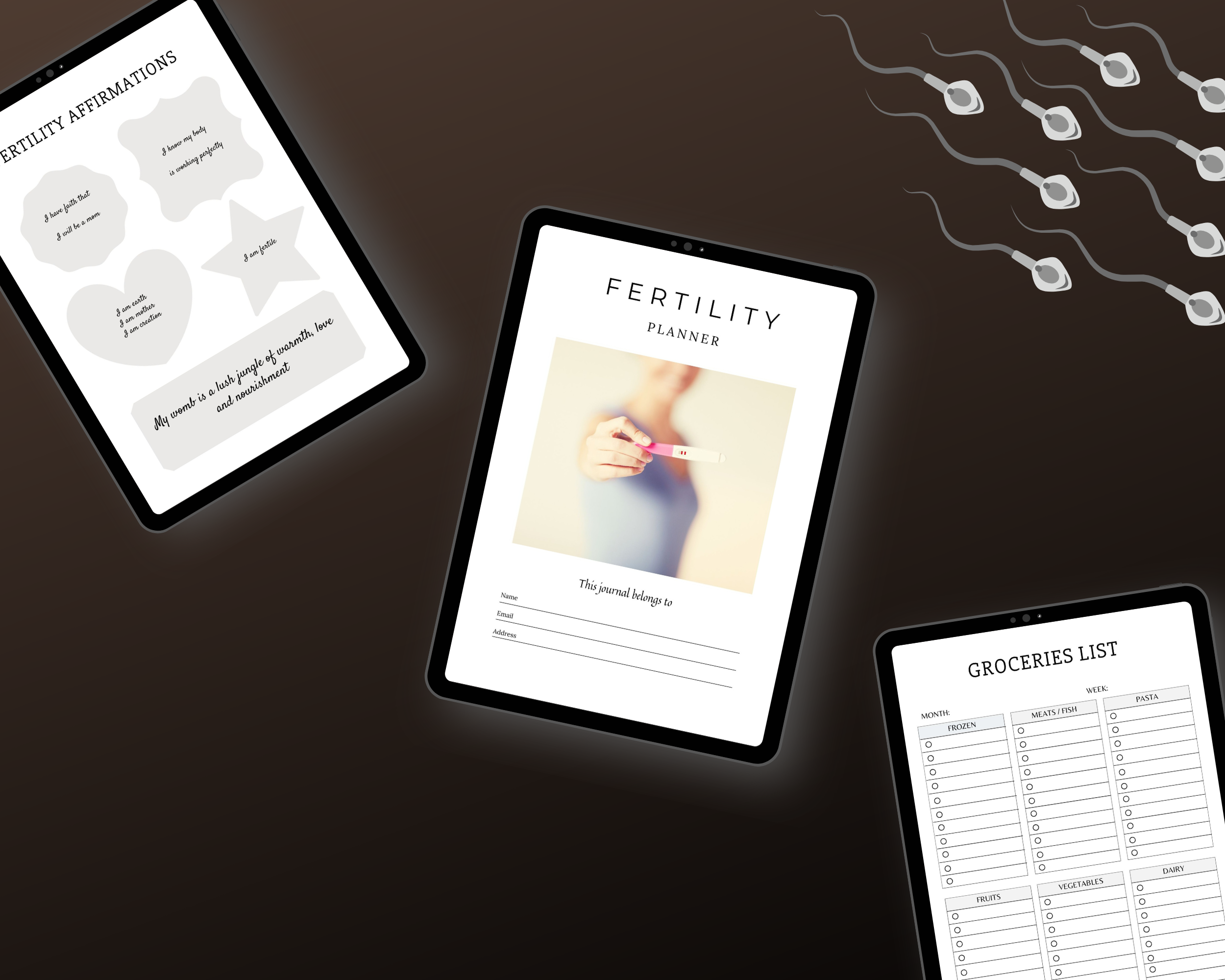 Editable Fertility Planner Templates in Canva | Commercial Use