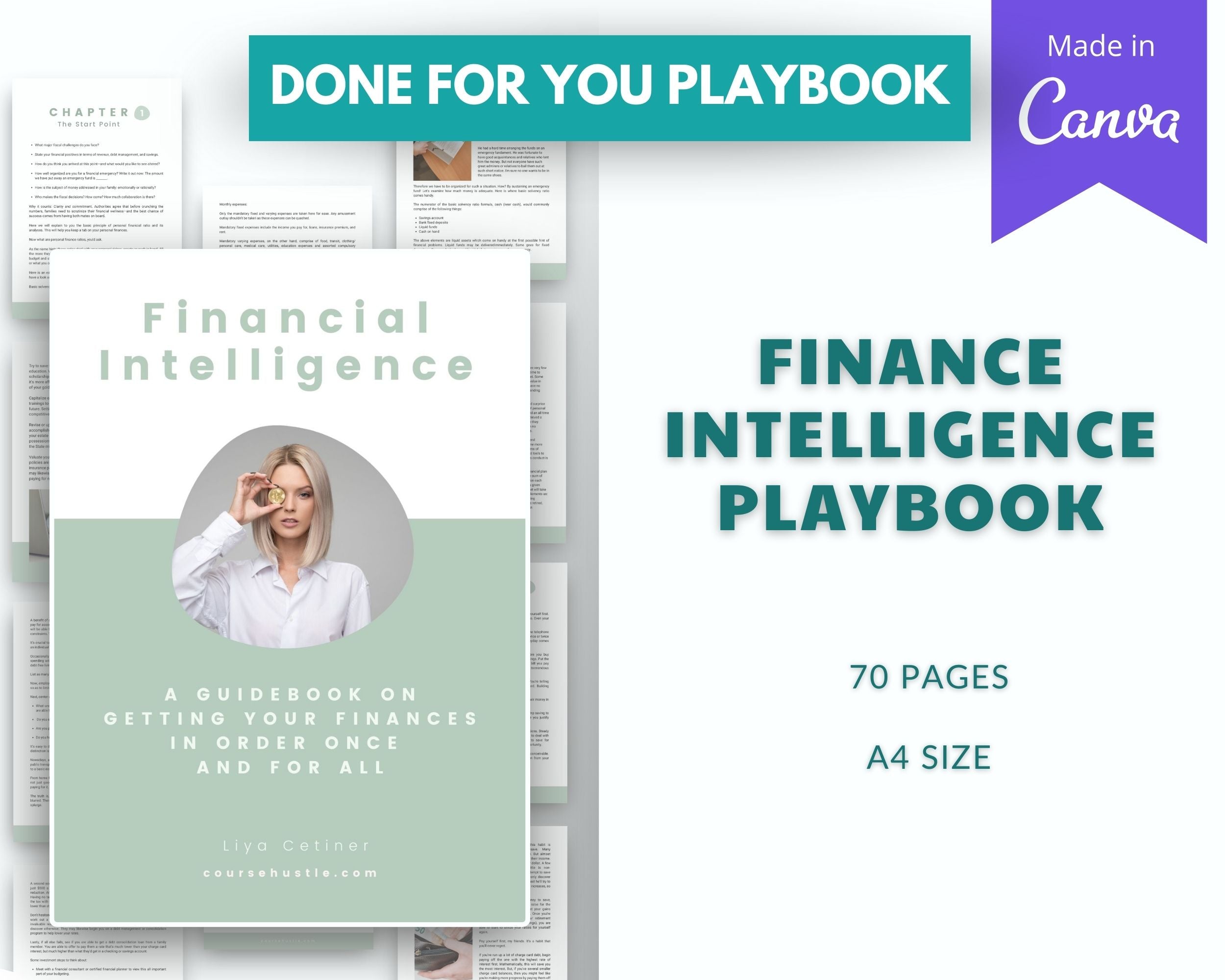 Done for You Finance Intelligence Playbook