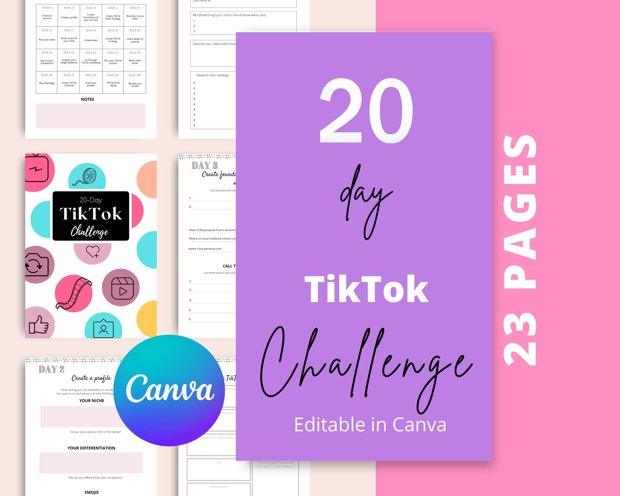 20-Day Tiktok Challenge | Tiktok Planner