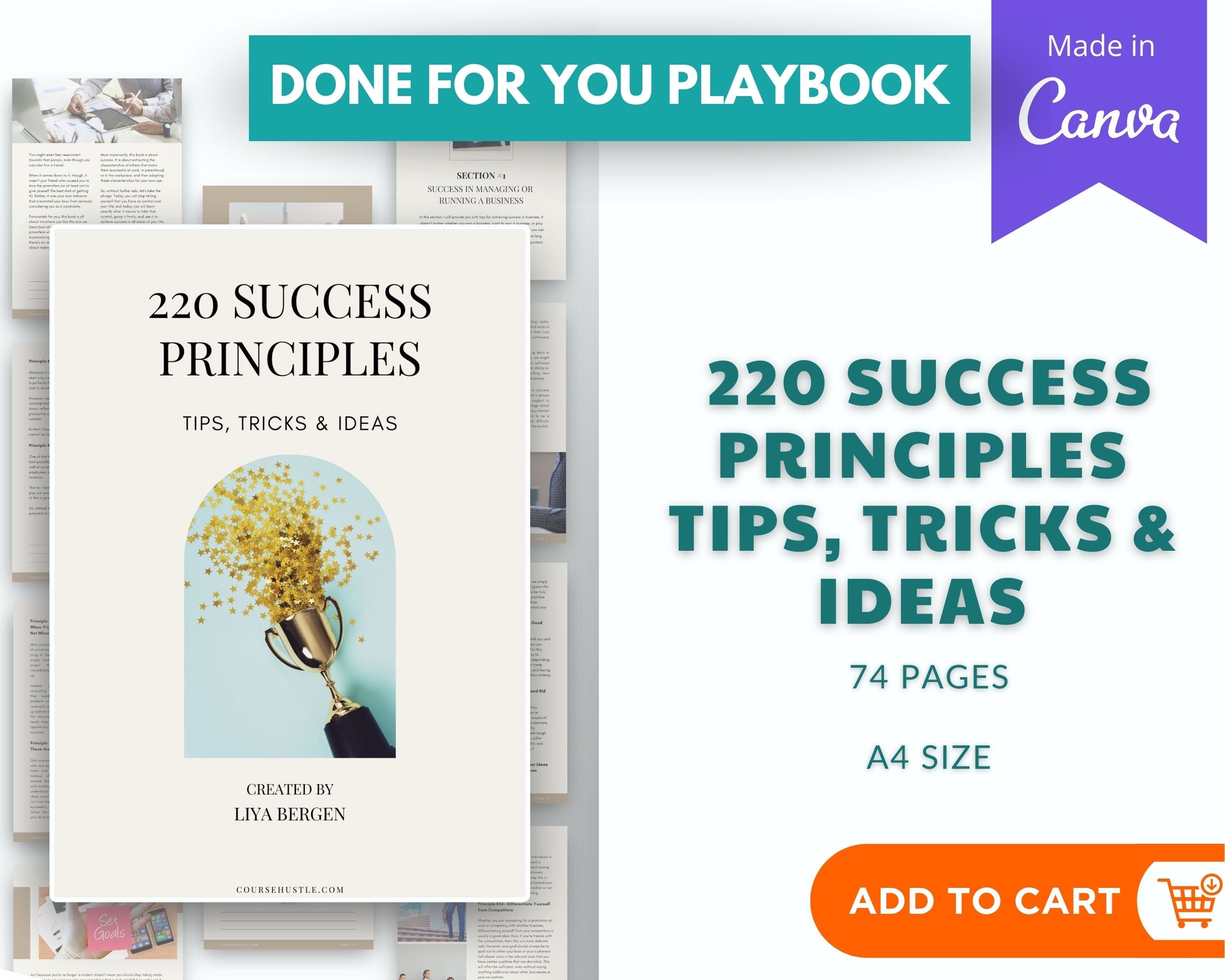 Done-for-You 220 Success Principles Tips, Tricks & ideas Playbook