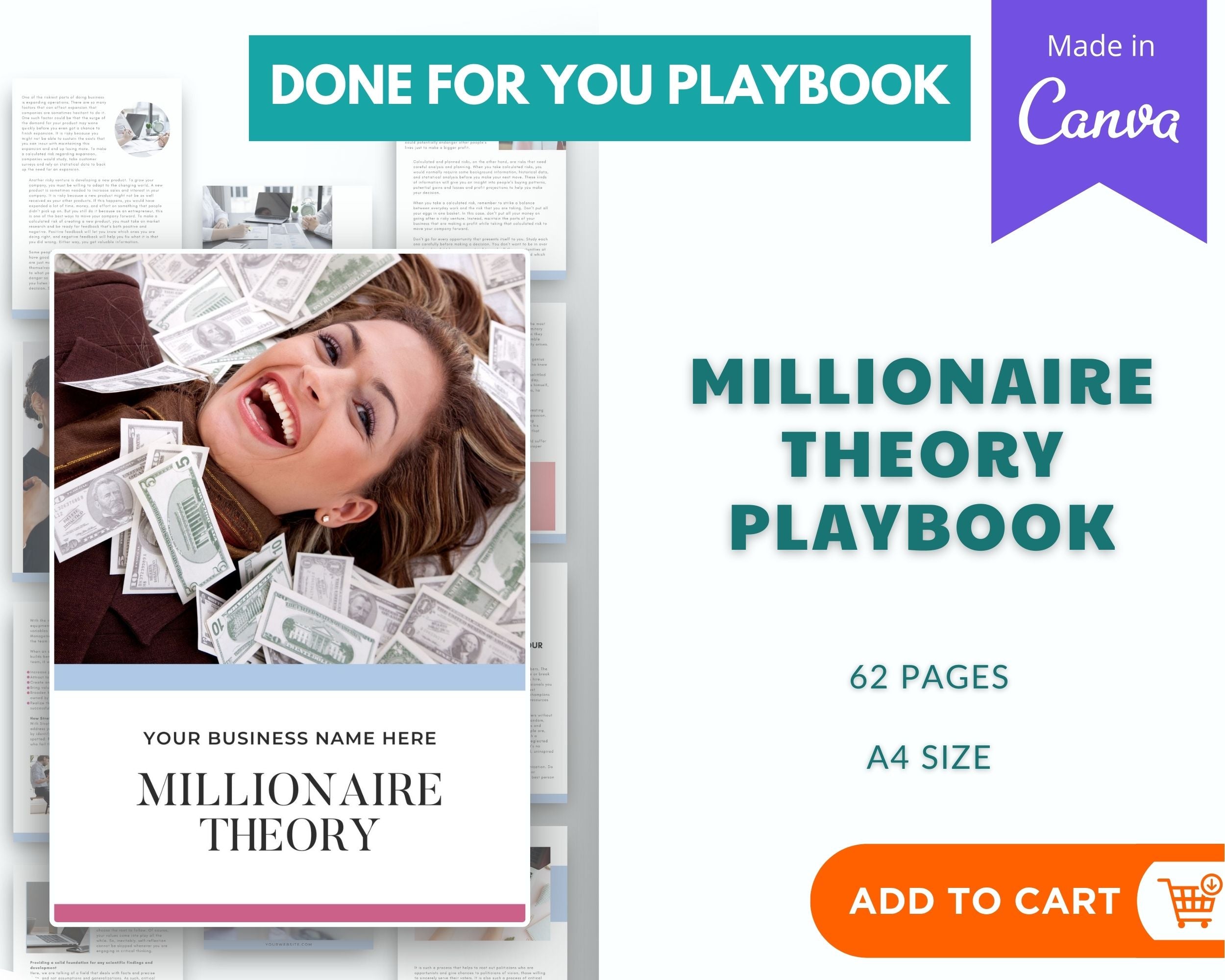 Millionaire Theory Playbook