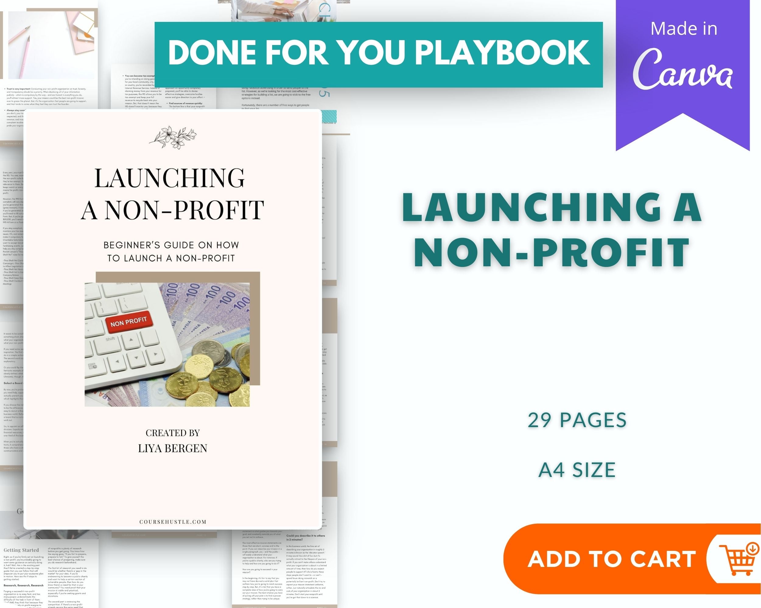 Done for You Launching a Non-Profit Playbook