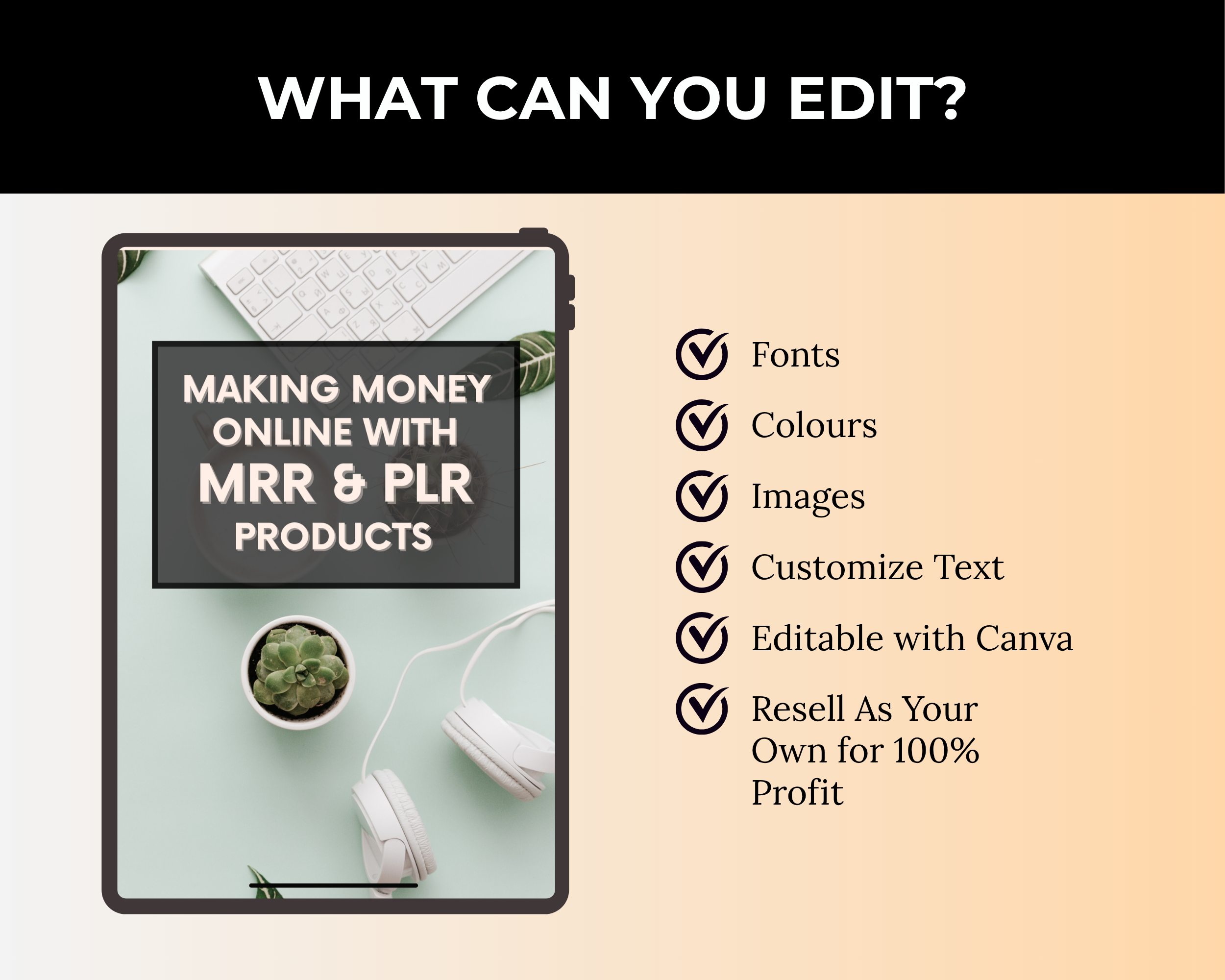 Make Money Online with MRR and PLR Products Ebook in Canva