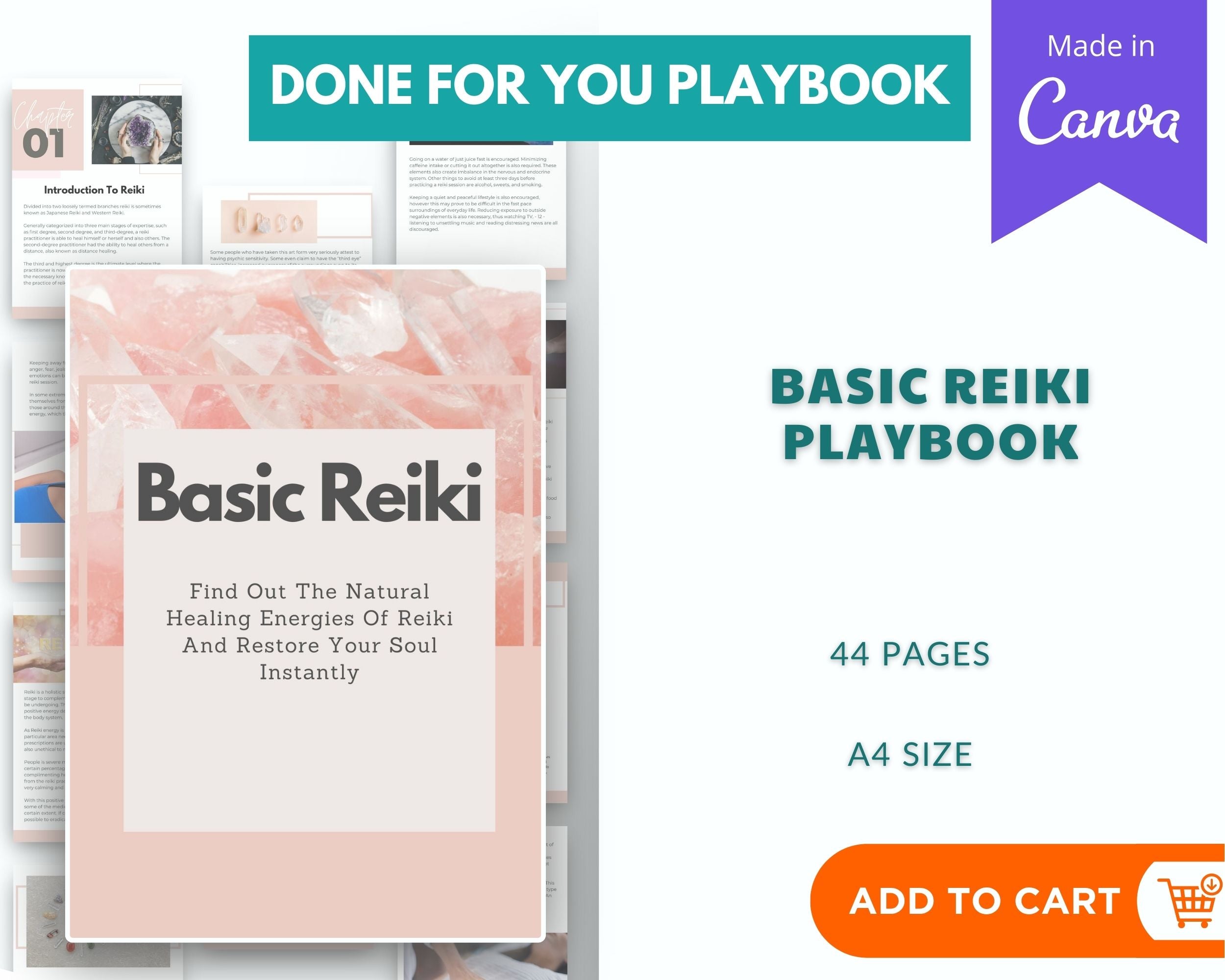 Done for You Basic REIKI Playbook