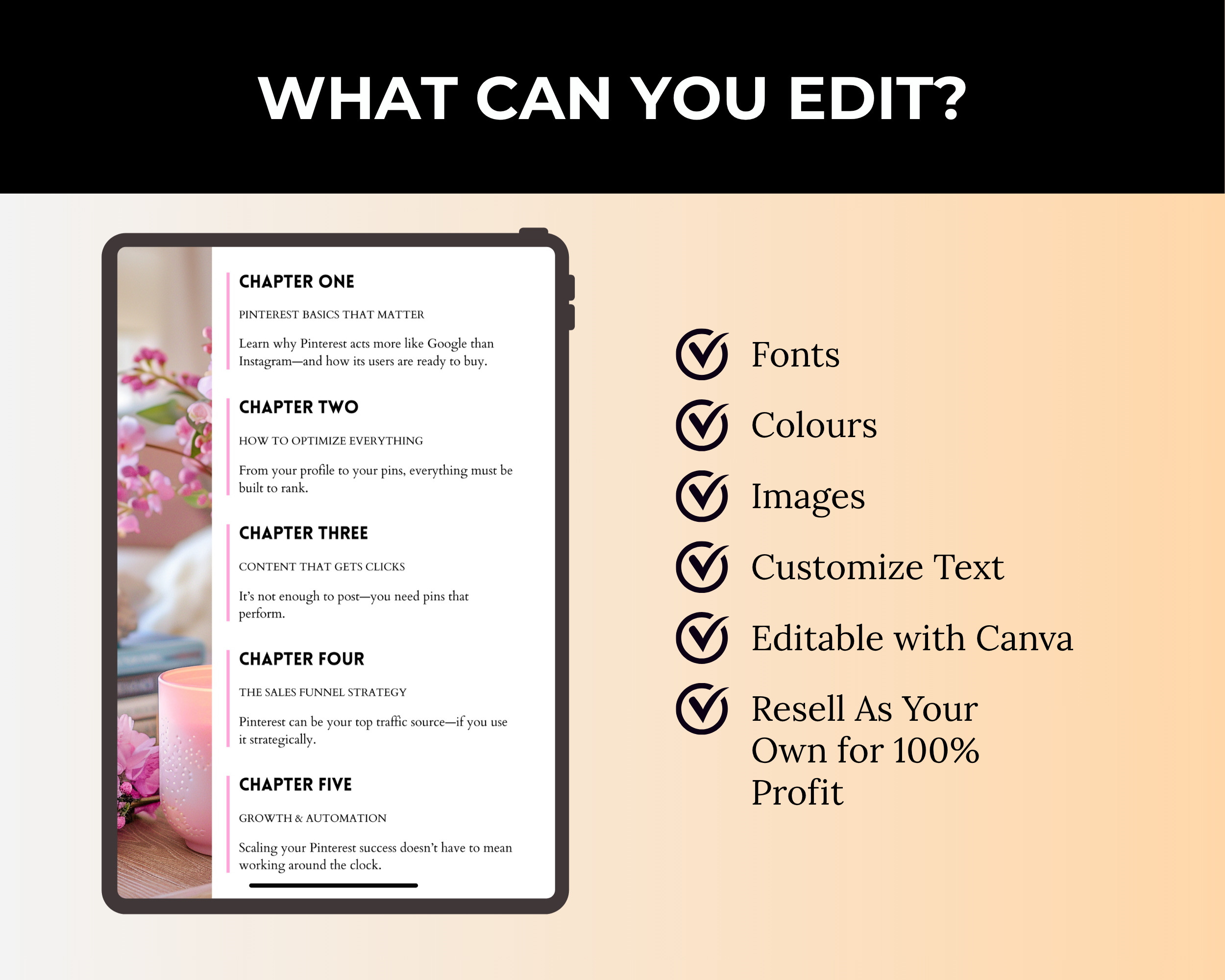 Master Pinterest for Traffic and Sales Ebook in Canva with MRR, PLR Rights