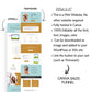 Green and Gold 2-Step Tripwire Sales Funnel in Canva