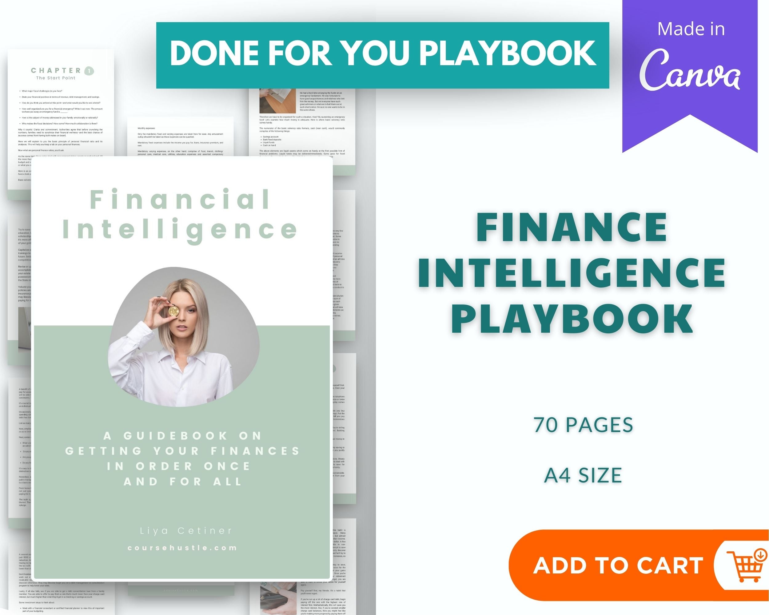 Done for You Finance Intelligence Playbook