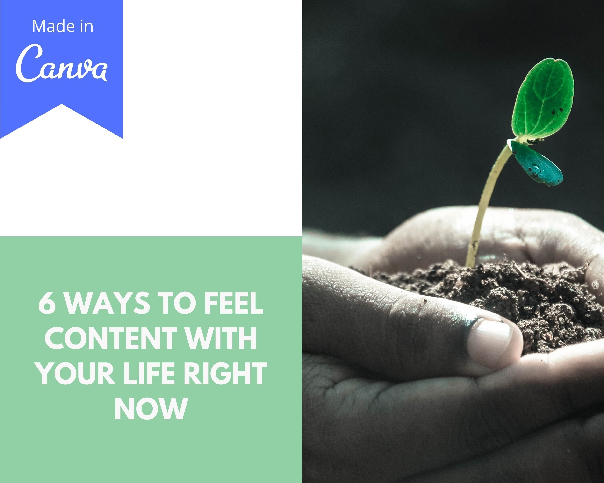 Editable 6 Ways to Feel Content with Your Life right now Emails  | Newsletter Template