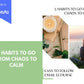 Editable 5 Habits to Go from Chaos to Calm Emails | Rebrandable Newsletter