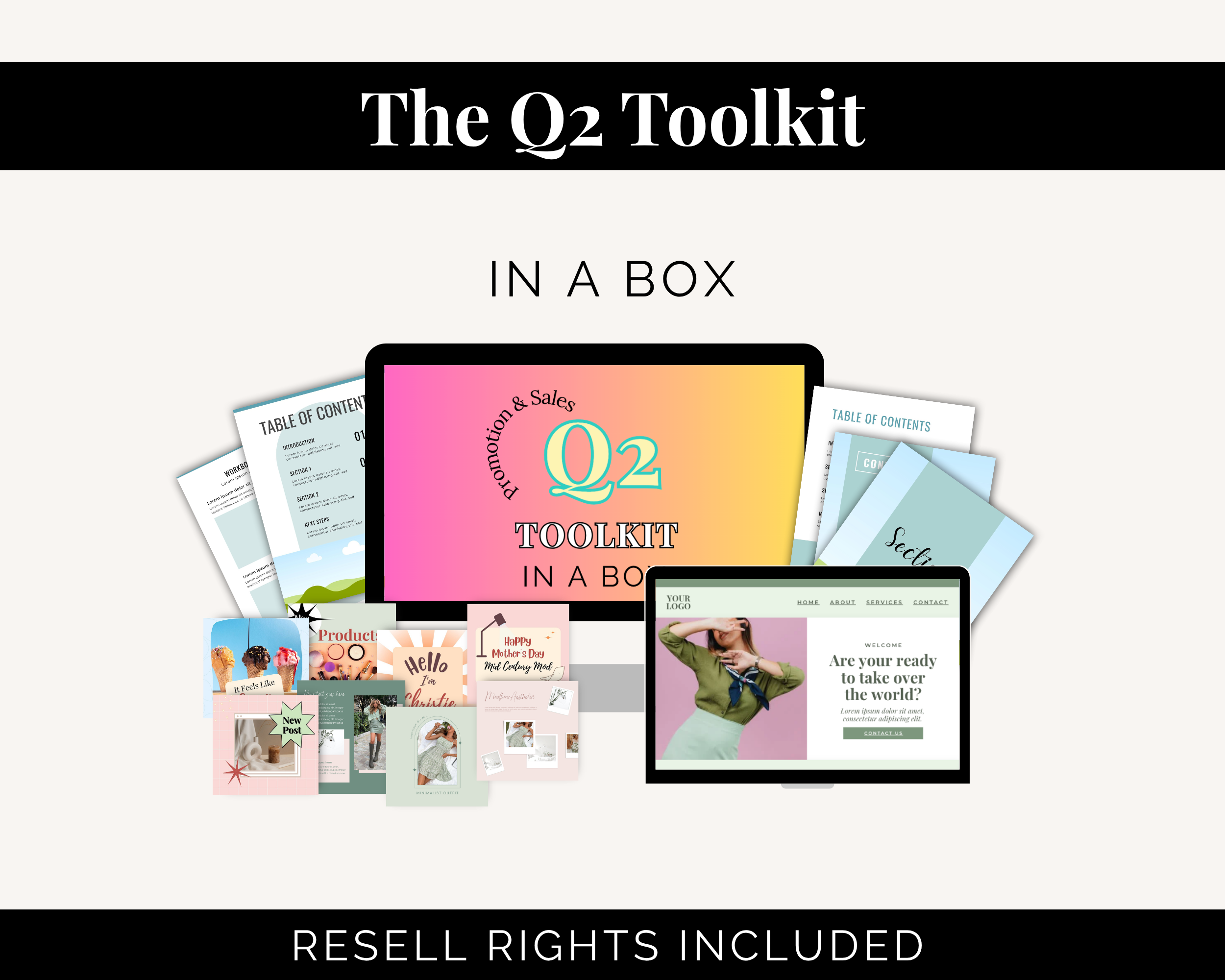 12-MONTH CEO SYSTEM