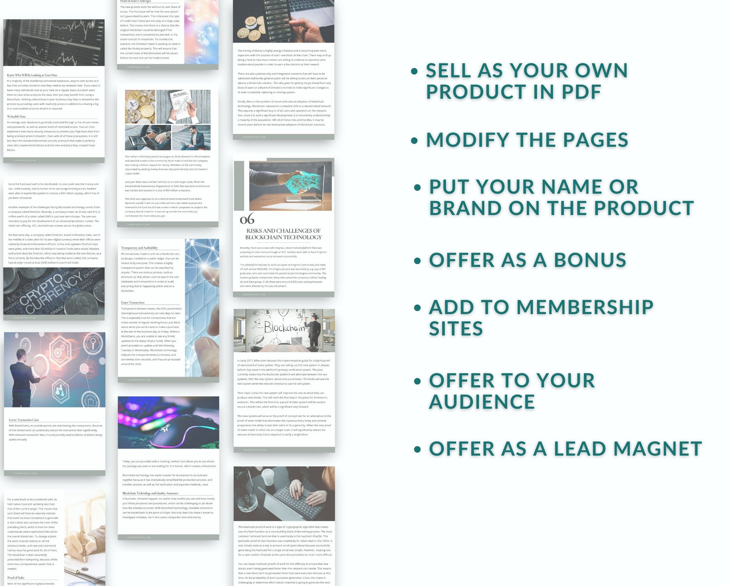 Done for You Blockchain Secrets Playbook