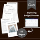 Financial Budget Planner | Done For You Planner Canva Templates PLR Digital Download | Commercial Use