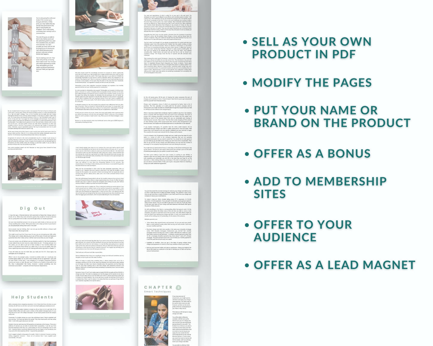 Done for You Finance Intelligence Playbook