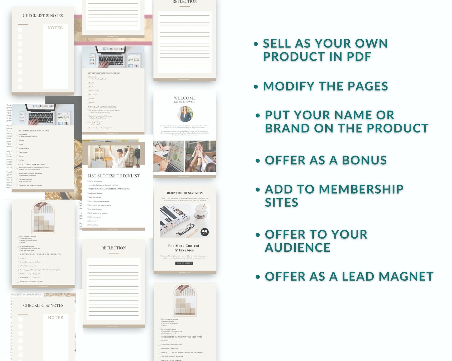 Done-for-You Mini Email List Success Checklist