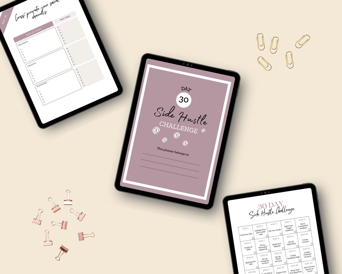 30 Day Side Hustle Challenge | Work From Home Journal | Solopreneur Planner | Editable Canva Template A4 Size