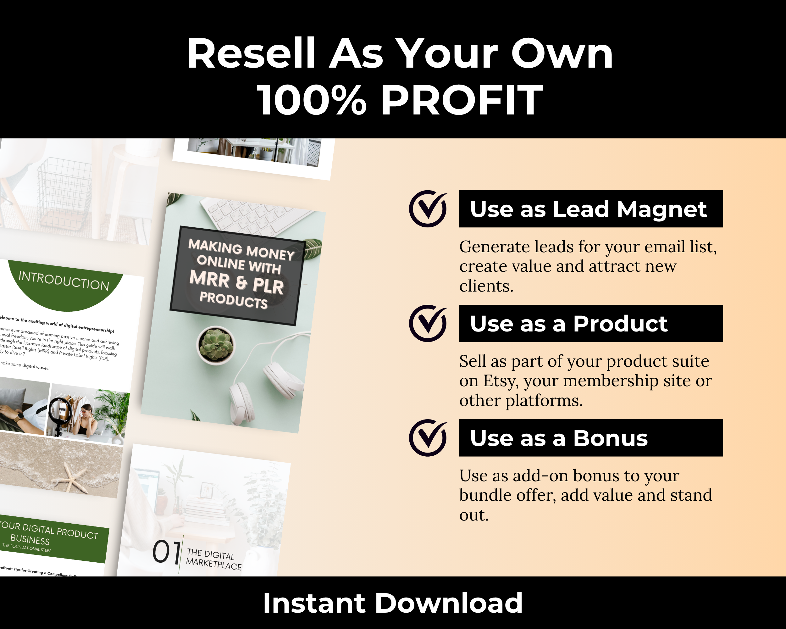 Make Money Online with MRR and PLR Products Ebook in Canva