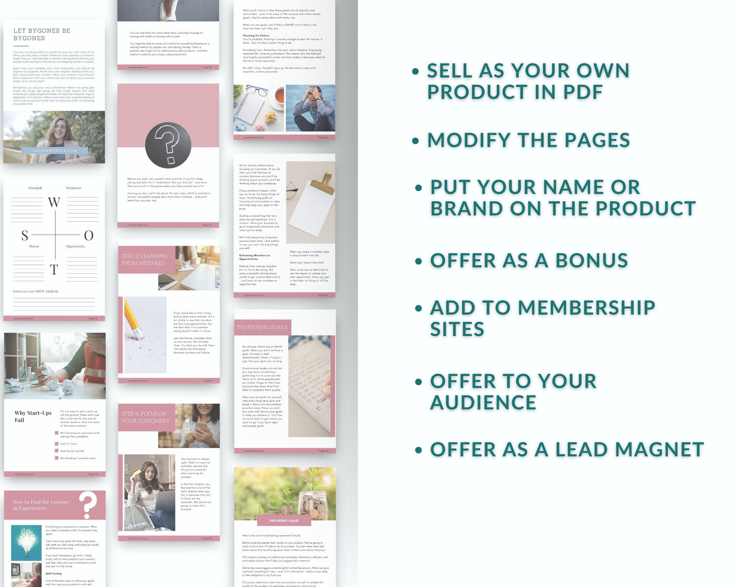 Done-for-You Success Mindset Playbook