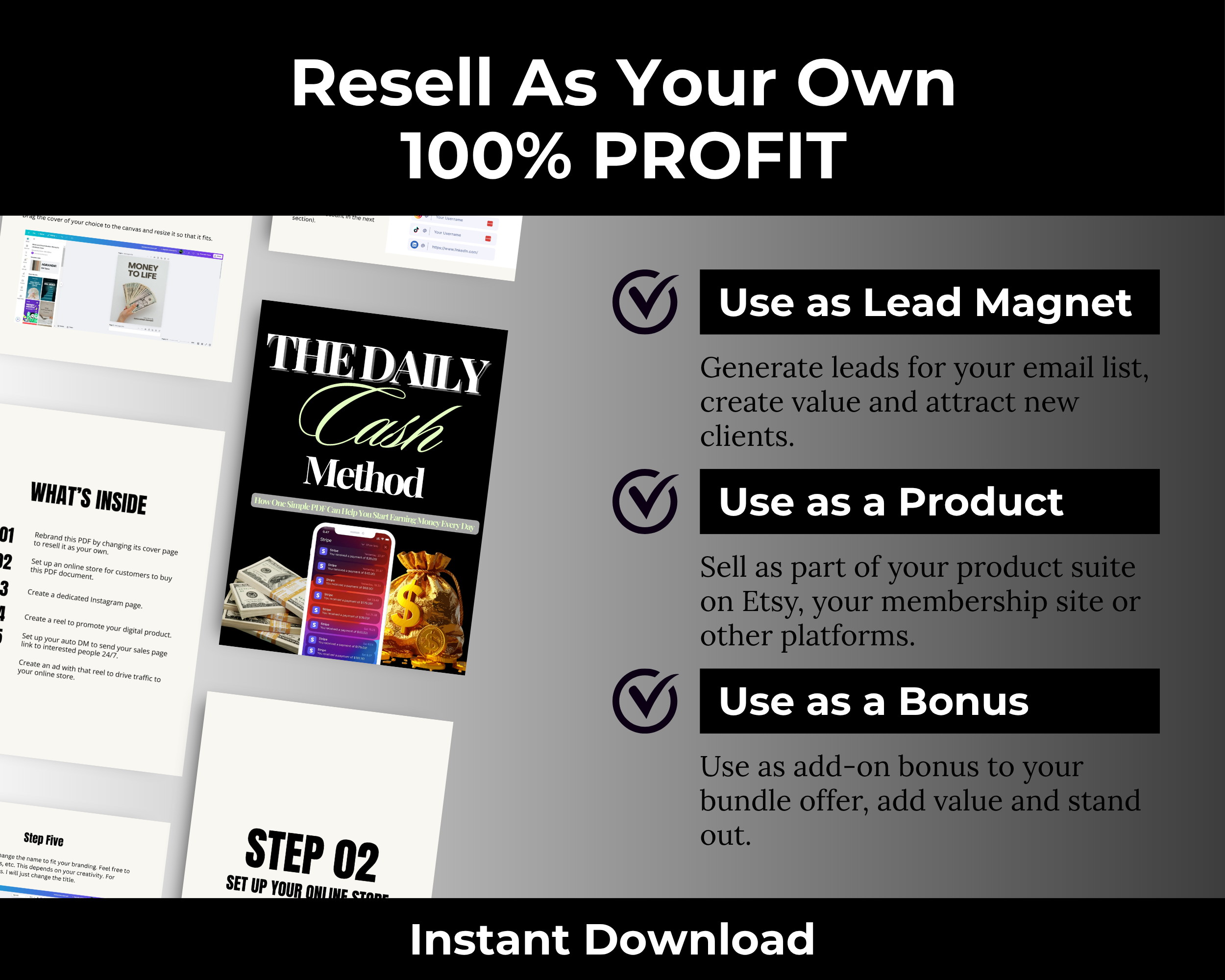 The Daily Cash Method Ebook in Canva with PLR, MRR Rights