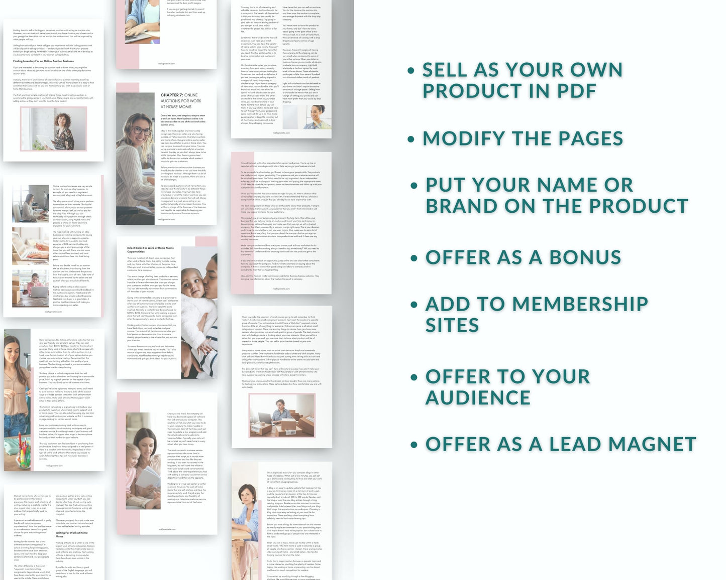 Online Businesses For Moms Playbook