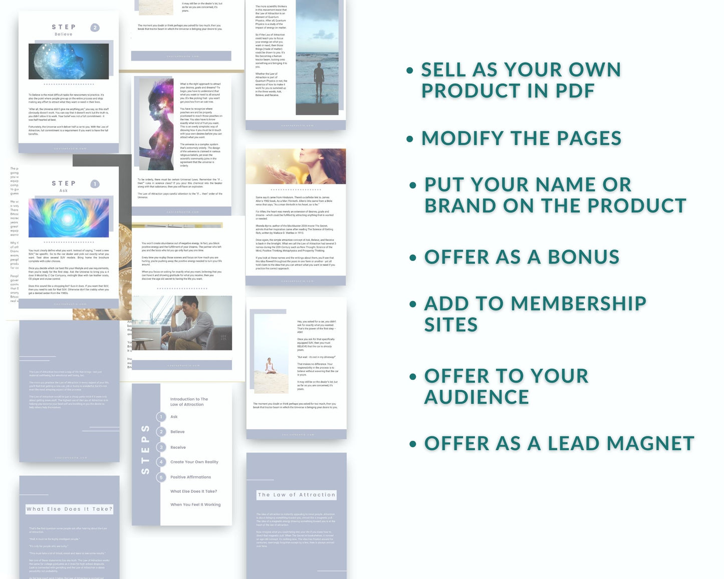 Done for You Law of Attraction Playbook