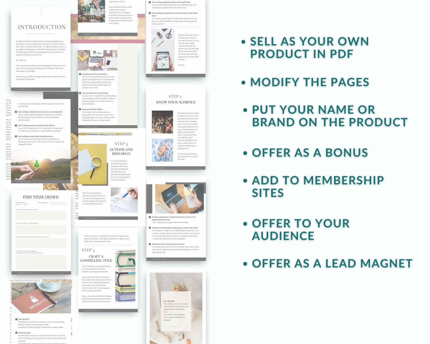 Done-for-You The 10-Step Plan for Writing Blogs Playbook