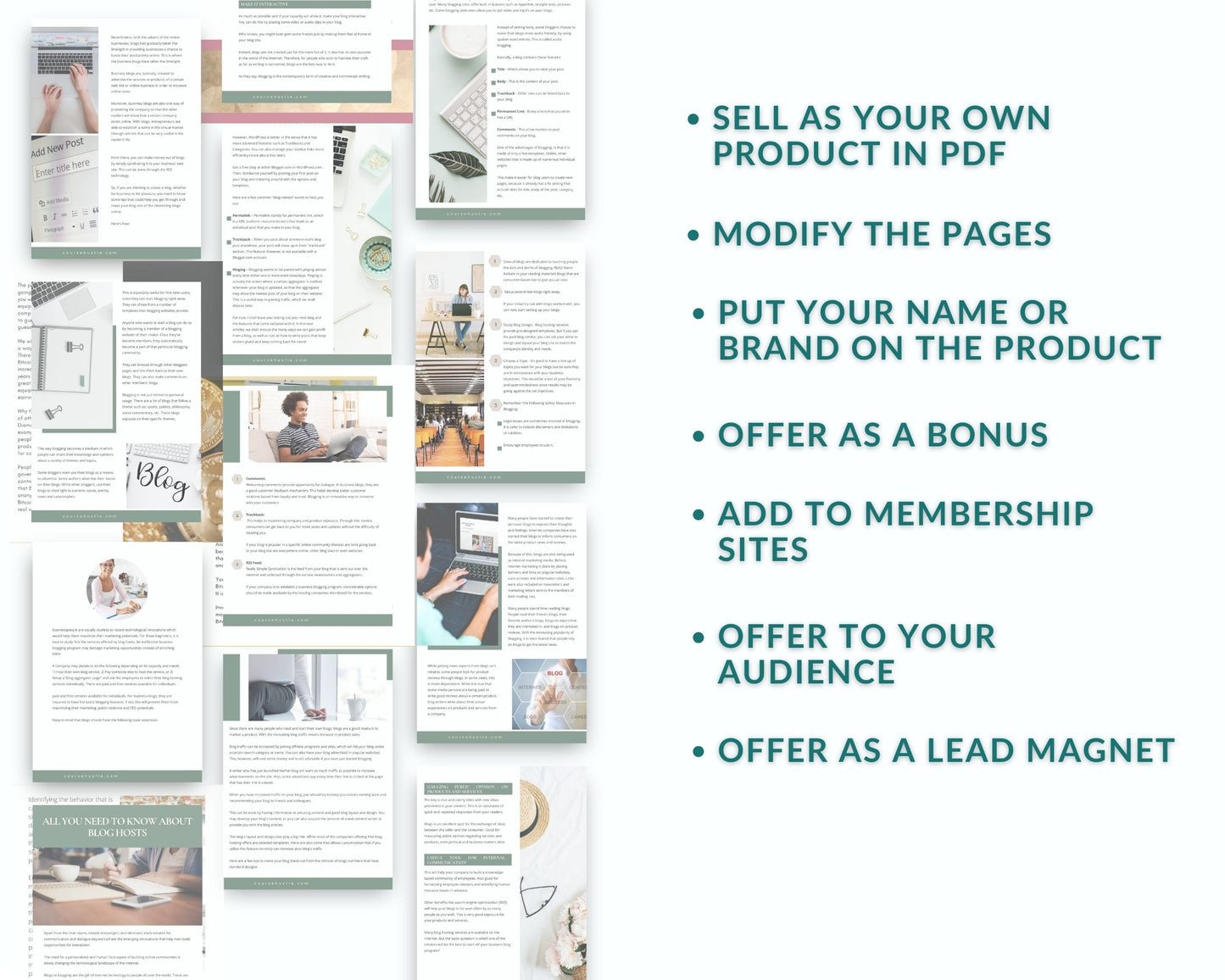 Done-for-You Influential Blogging Playbook
