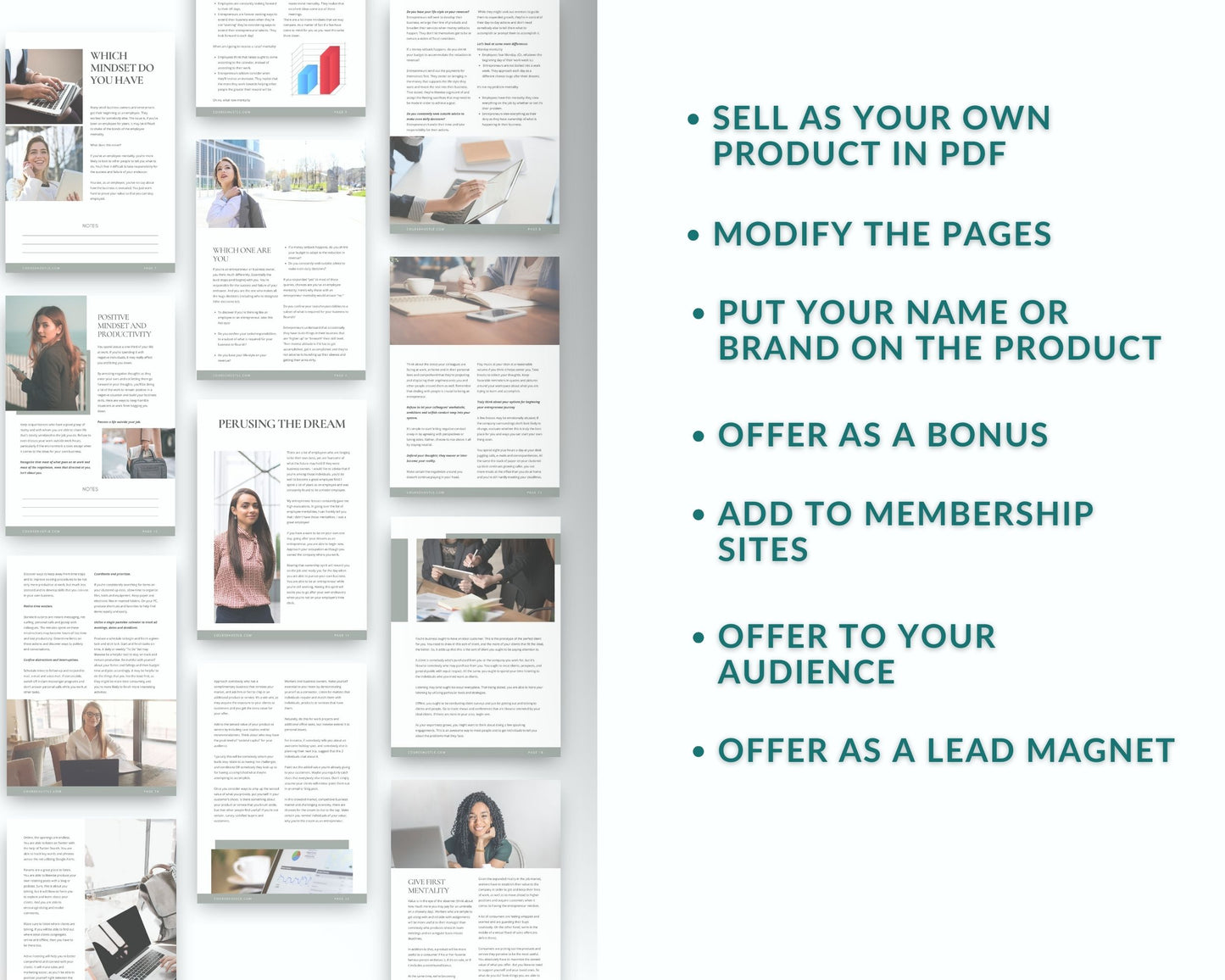Done-for-You Think Like a Boss Playbook