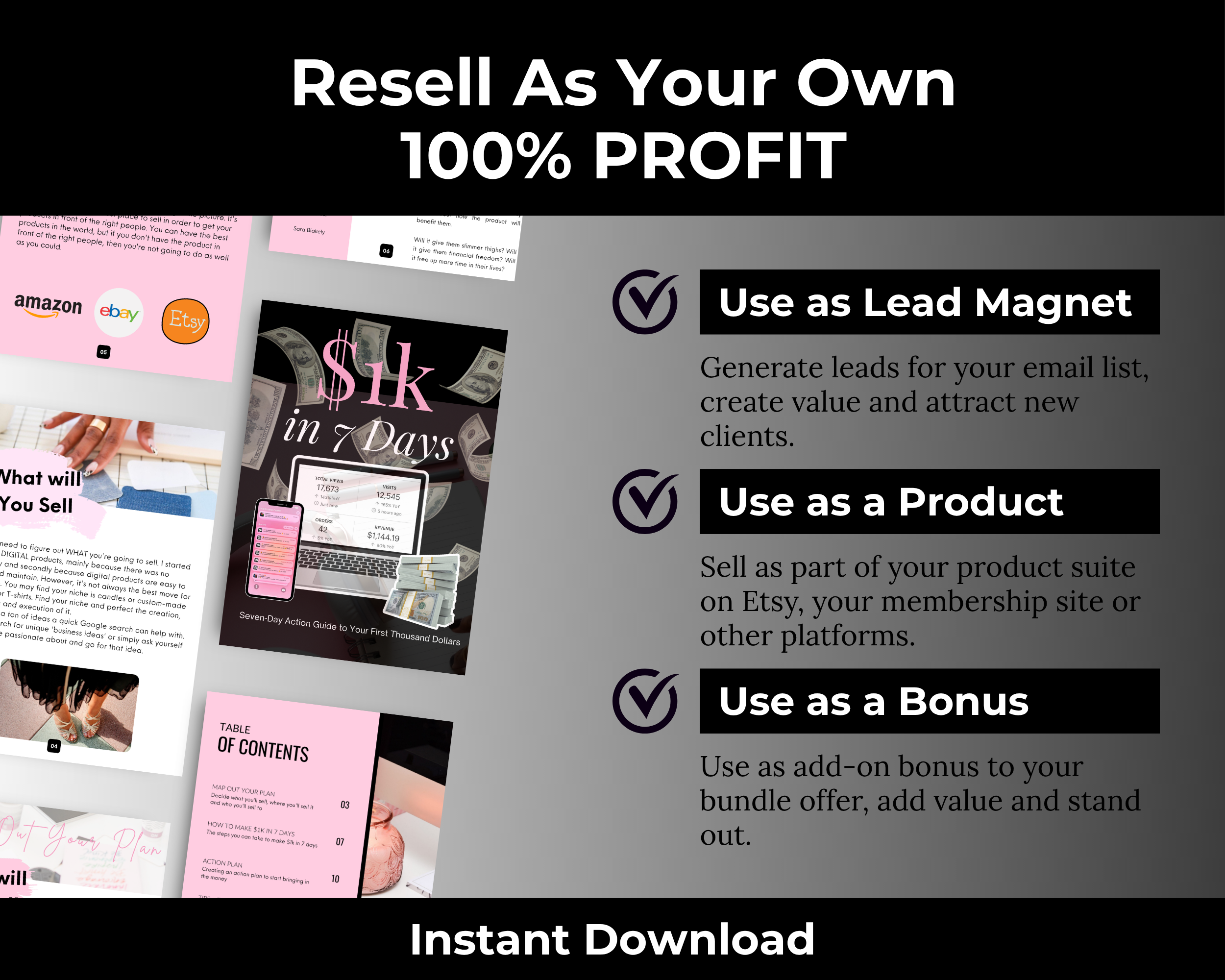 $1K in 7 Days PLR Ebook with PLR, MRR Rights