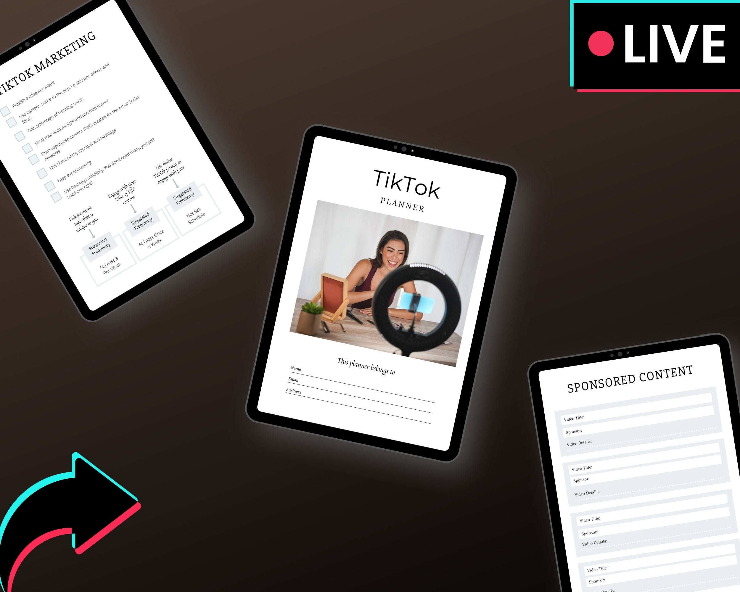 Editable TikTok Planner in Canva | Commercial Use