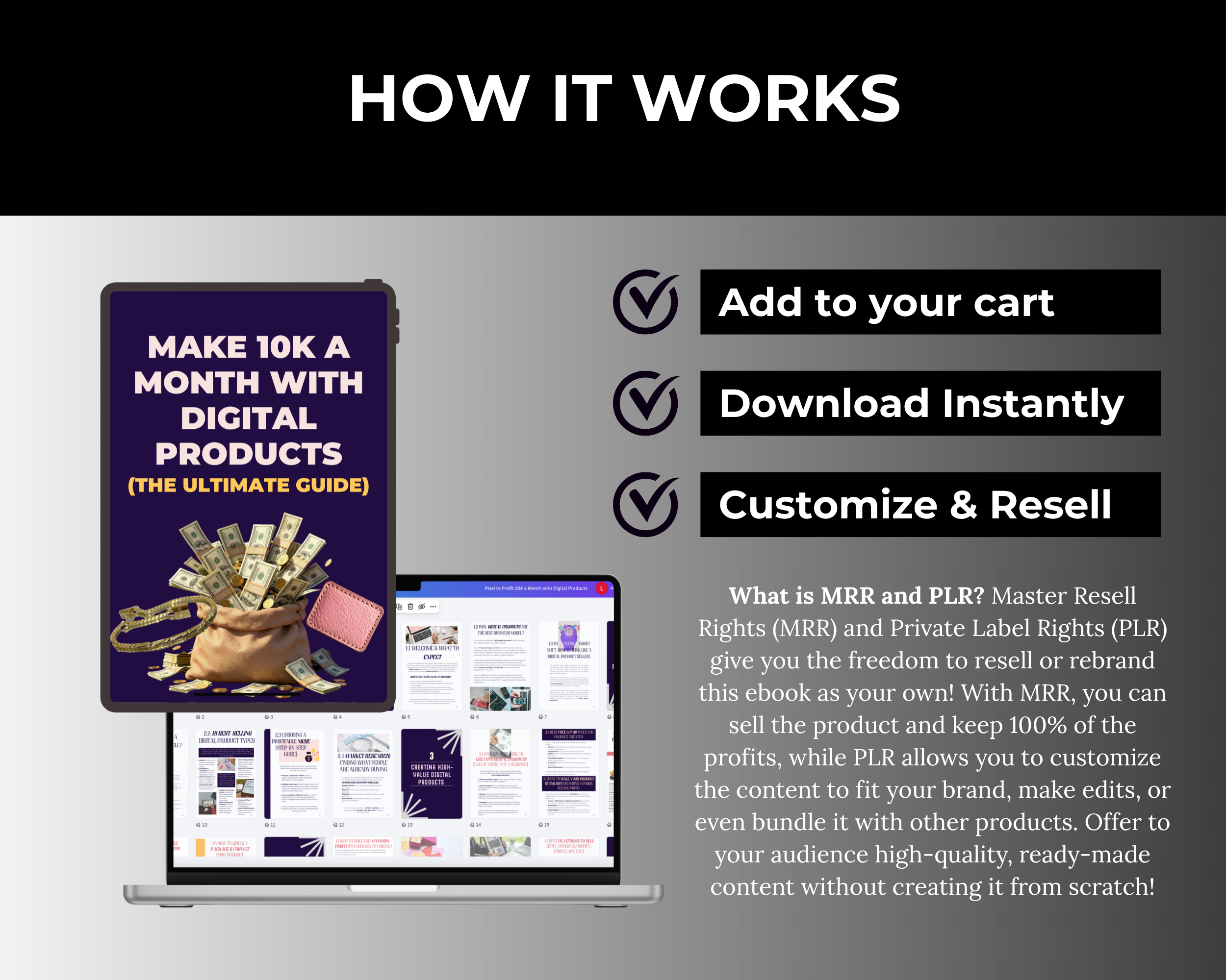 Pixel to Profit 10K a Month with Digital Products Ebook in Canva