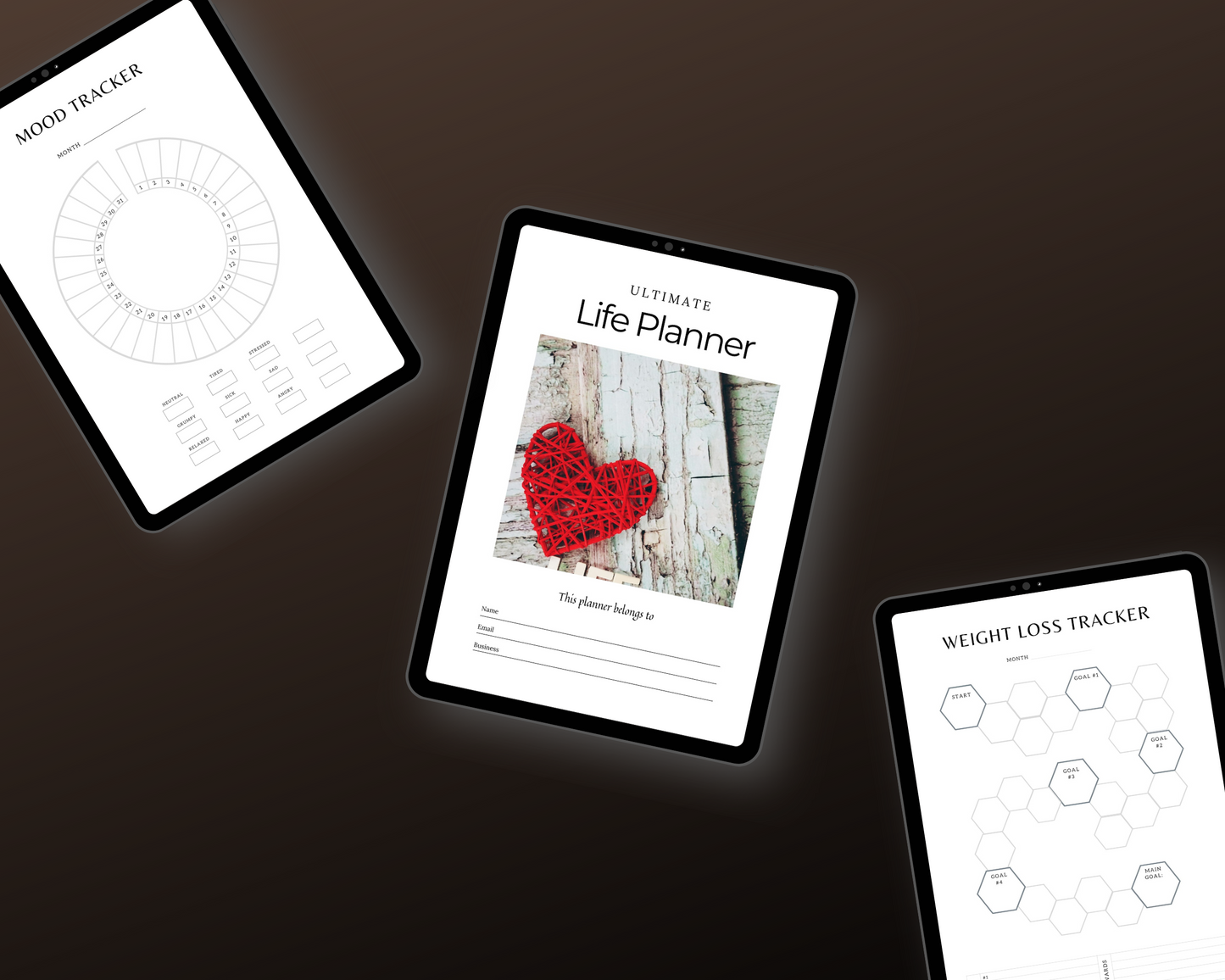 Editable Life Planner in Canva | Commercial Use
