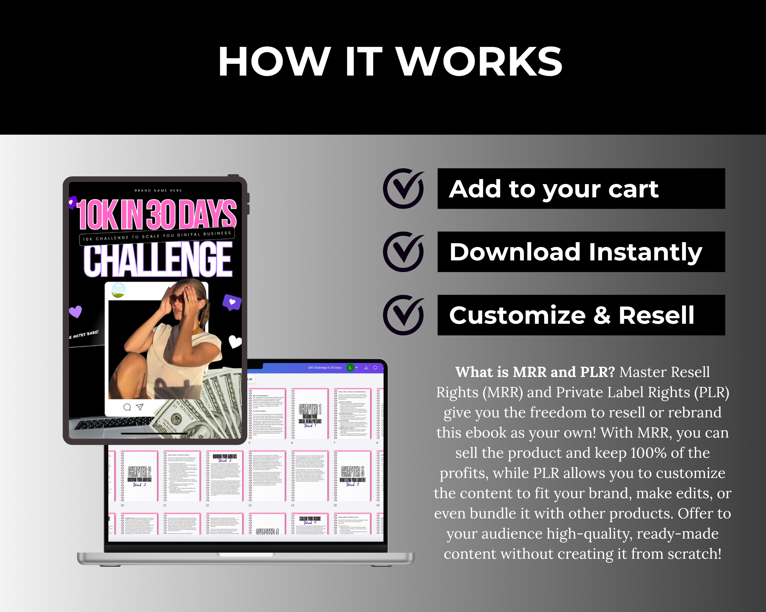 $10K Challenge in 30 Days Ebook in Canva with PLR, MRR Rights