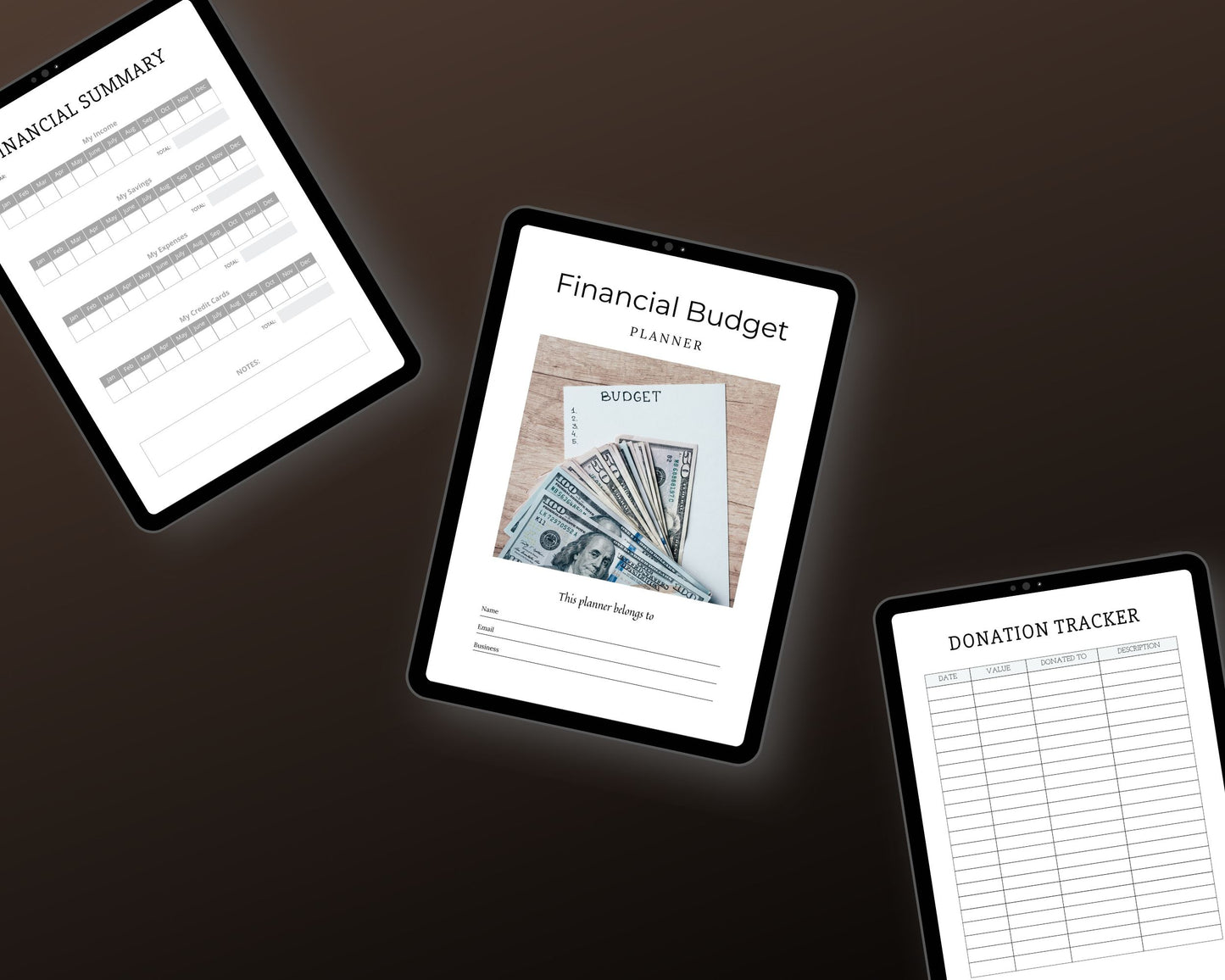Financial Budget Planner | Done For You Planner Canva Templates PLR Digital Download | Commercial Use
