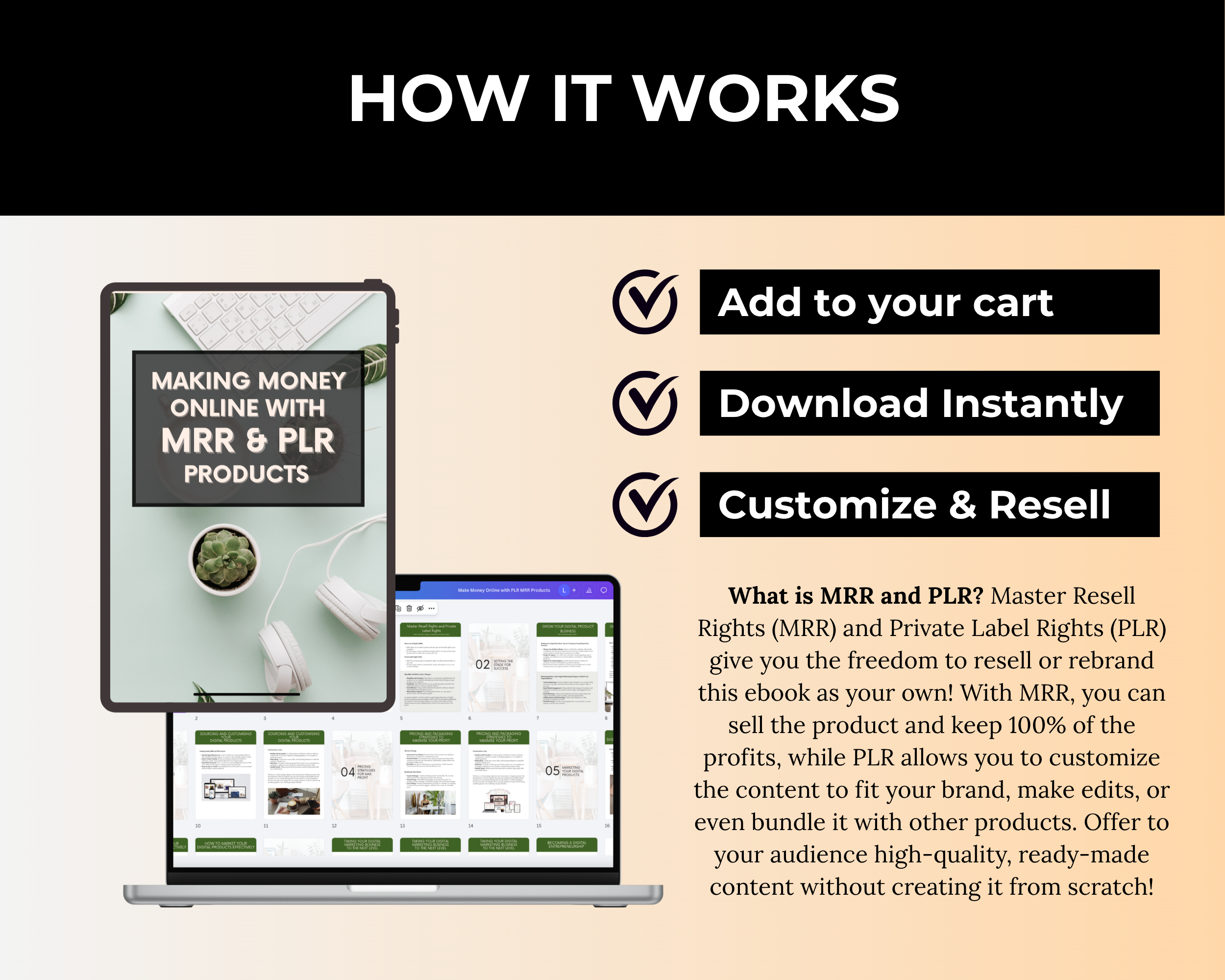 Make Money Online with MRR and PLR Products Ebook in Canva