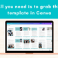Tiktok Marketing Ebook in Canva