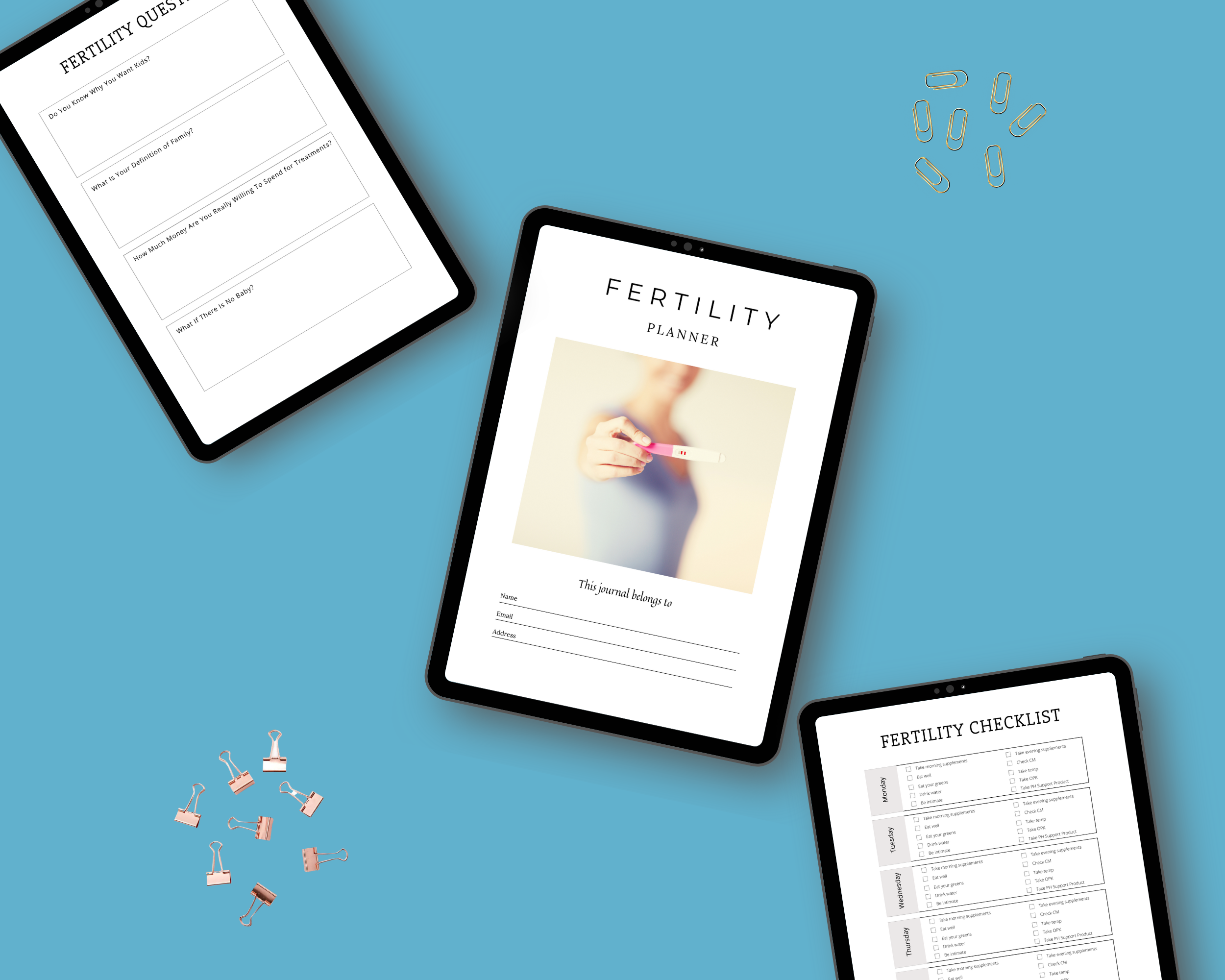 Editable Fertility Planner Templates in Canva | Commercial Use