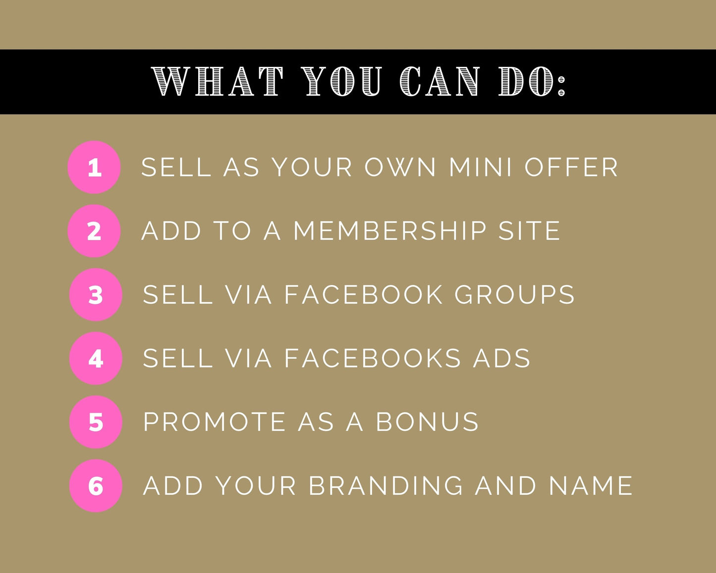 Membership Toolkit Courses | Business Planner | Membership Sales Copy Email Series