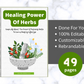 Editable Healing Power Of Herbs Ebook | Done-for-You Ebook in Canva