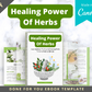 Editable Healing Power Of Herbs Ebook | Done-for-You Ebook in Canva