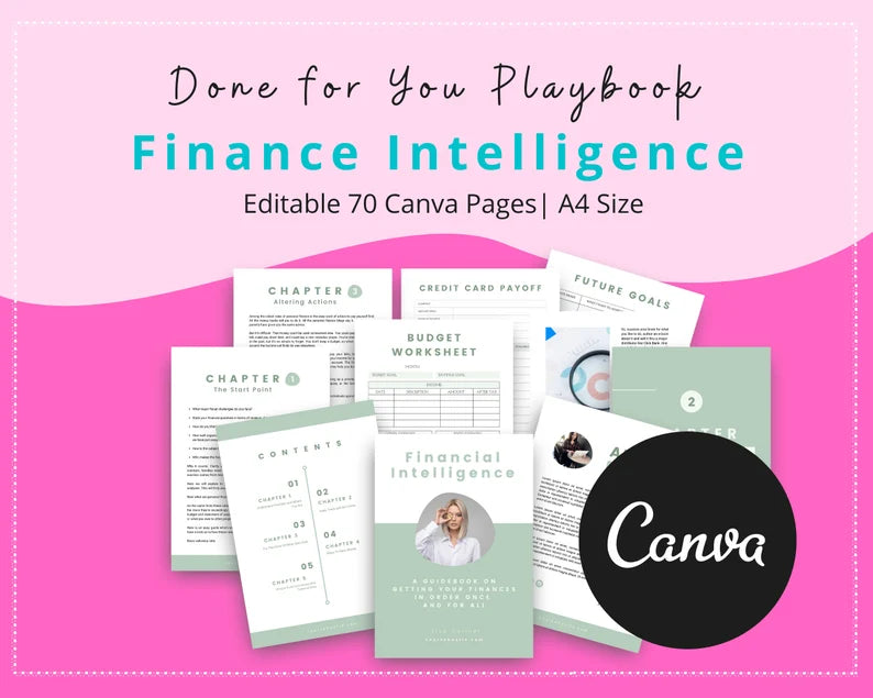 Done for You Finance Intelligence Playbook in Canva