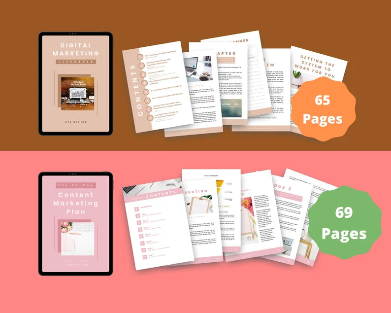 BUNDLE of 11 Business Playbooks in Canva