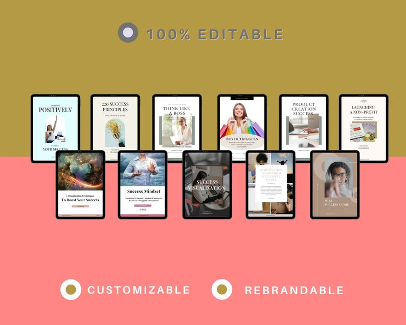 BUNDLE of 11 Success Playbooks in Canva