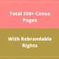 BUNDLE of 11 Success Playbooks in Canva